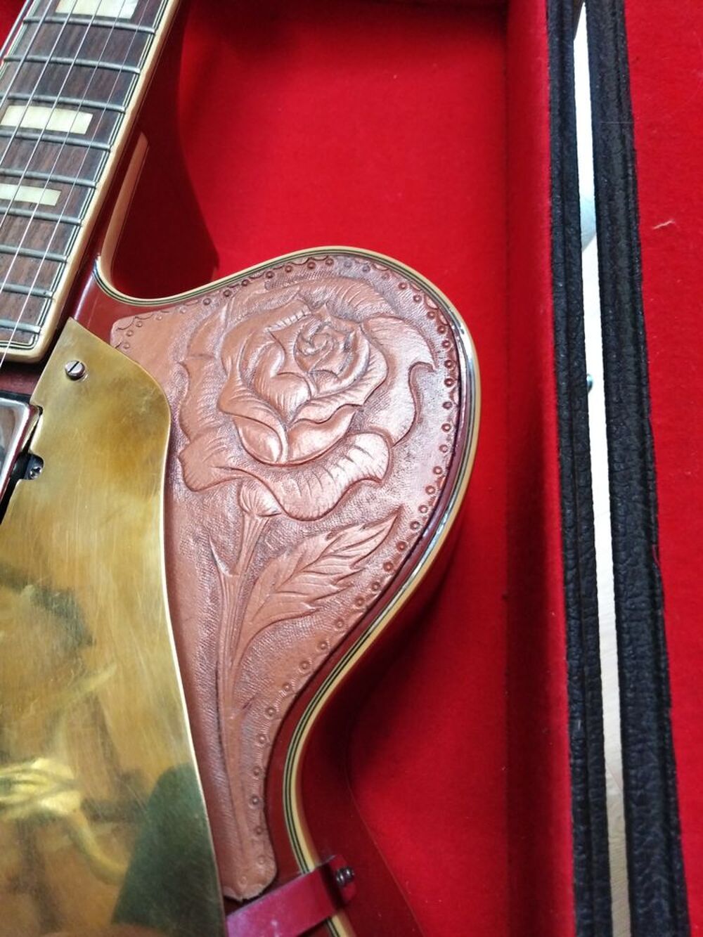 Guitare jazz Instruments de musique