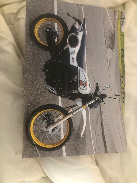 Moto MASH 2024 occasion Schiltigheim 67300