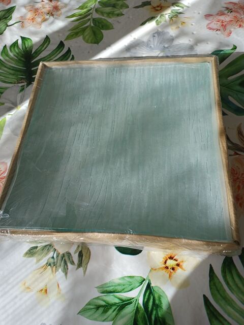 assiettes en verre 10 Peymeinade (06)