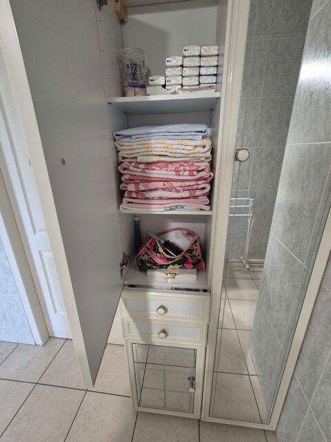 Armoire de salle de bains 85 Avezac-Prat-Lahitte (65)