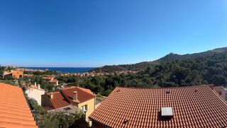  Duplex/triplex � vendre 4 pi�ces 105 m�