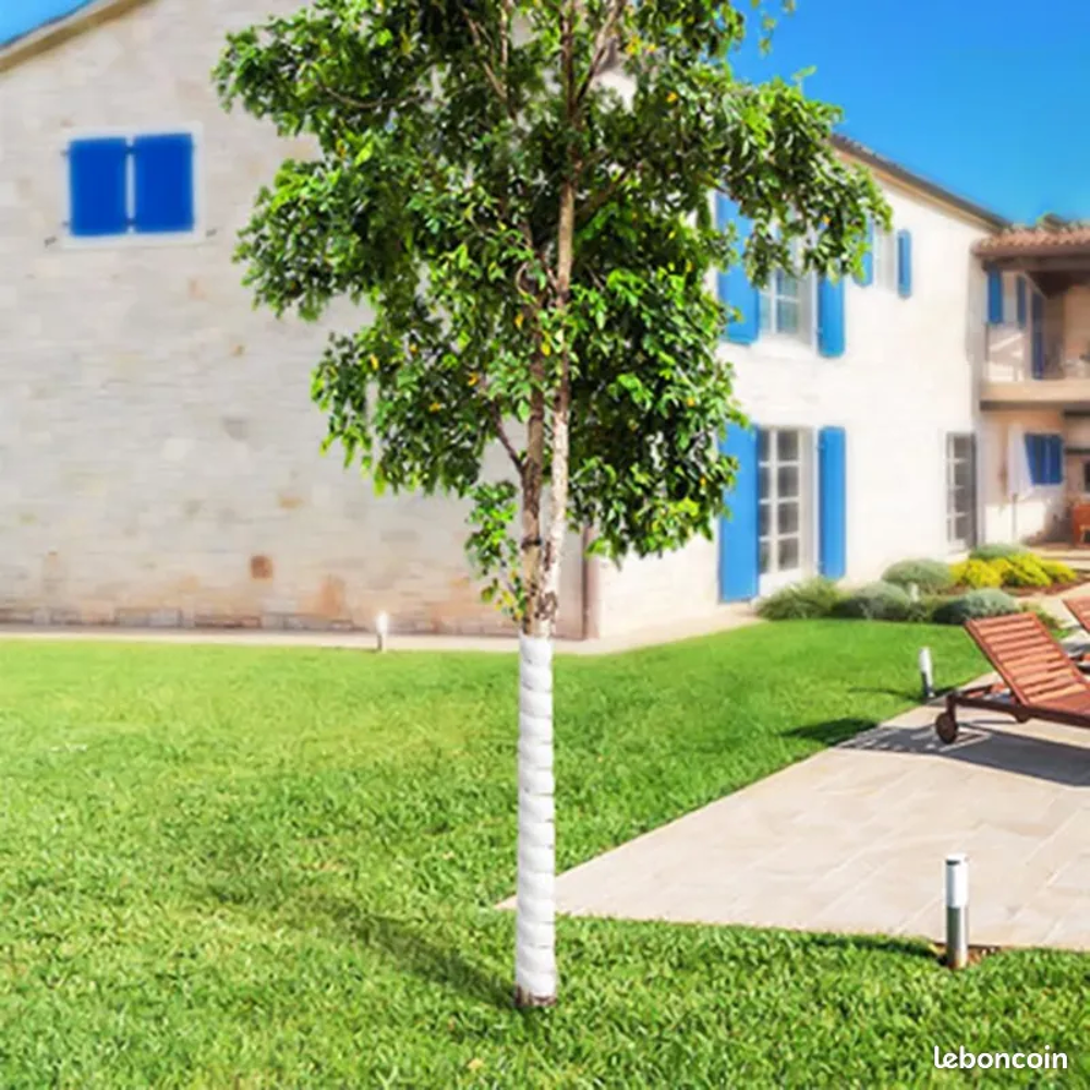 Tubes de protection arbustes Jardin