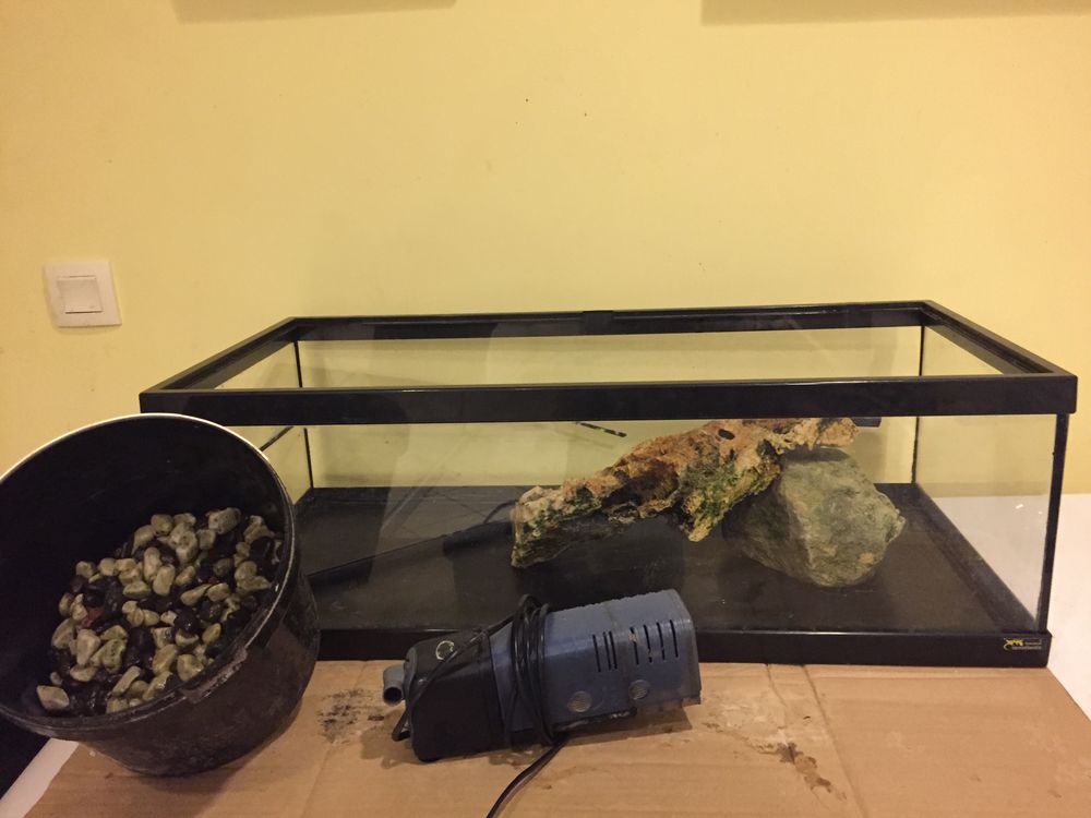   Aquarium Terratlantis  