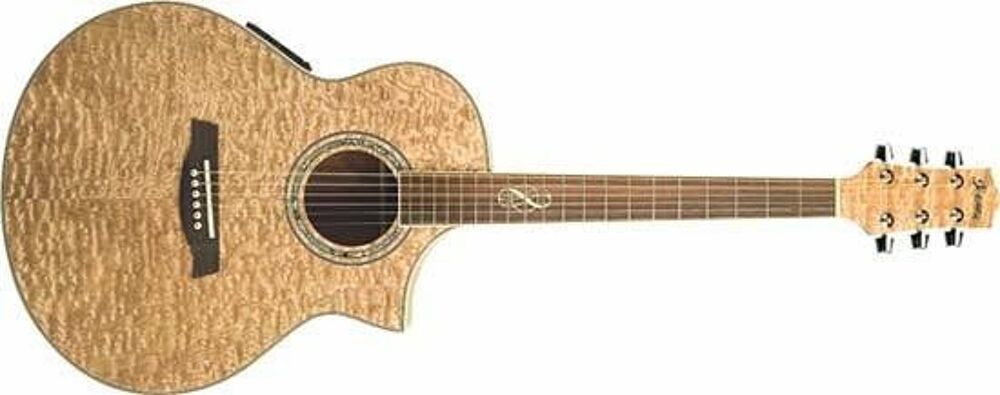 guitare ibanez FOLK Instruments de musique