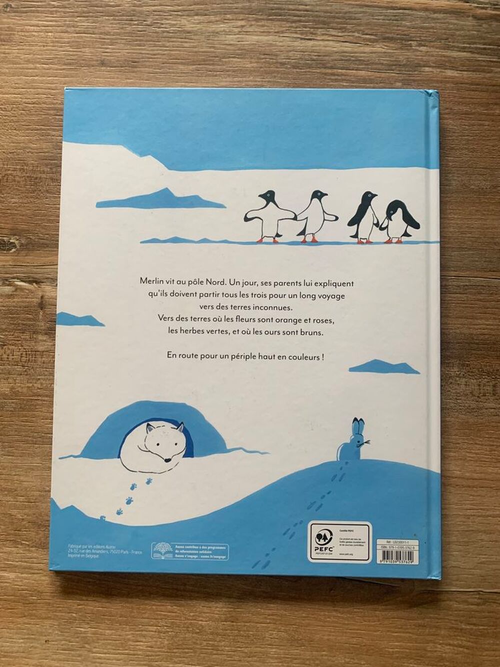 Livre enfant " L' extraordinaire voyage de Merli Livres et BD