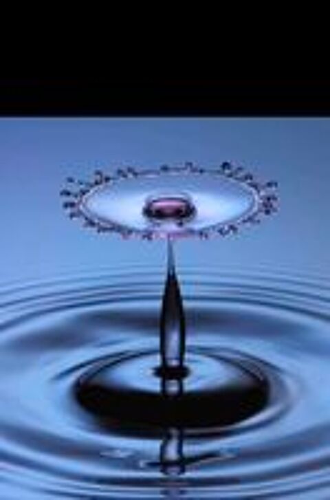   Sourcier recherche d'eau 