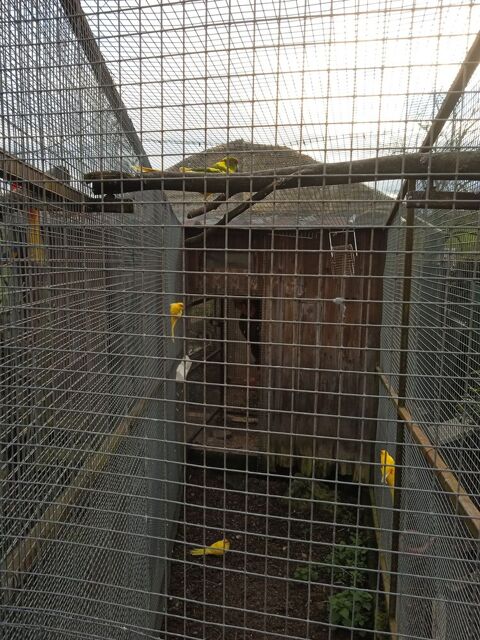 KAKARIKI 40 64000 Pau