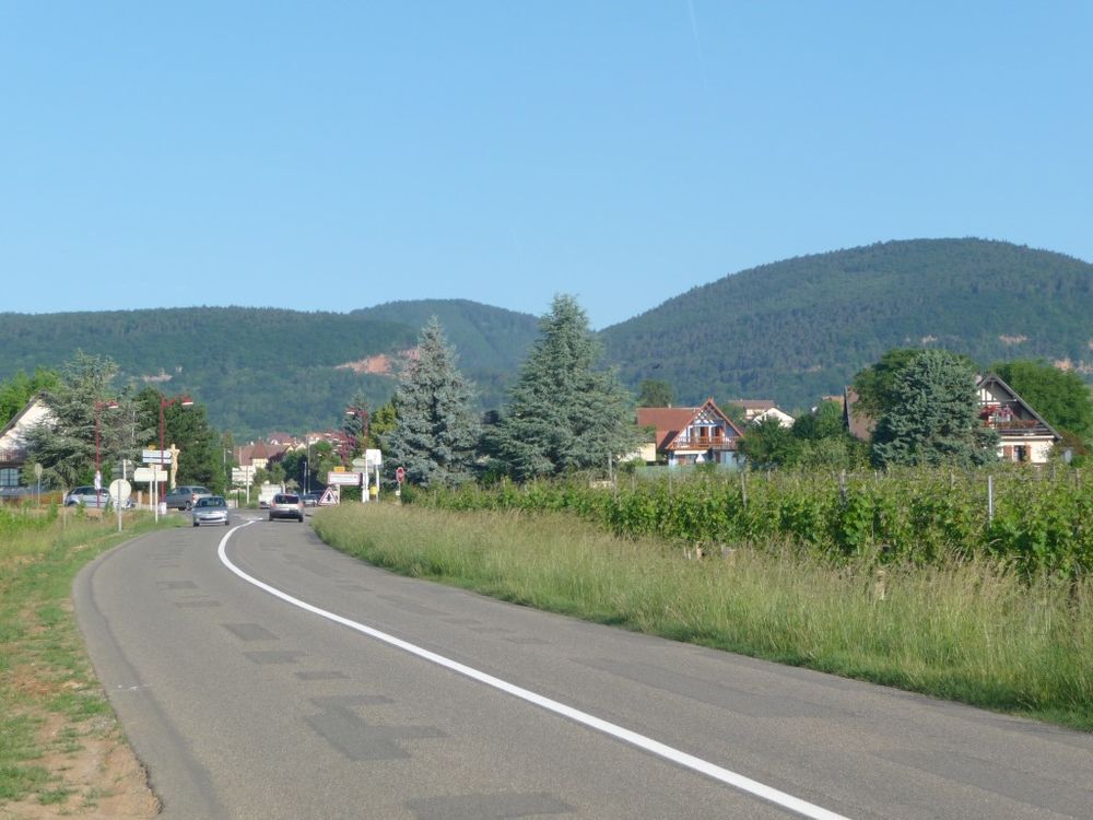   Gte en Alsace  8km de Colmar Alsace, Obermorschwihr (68420)