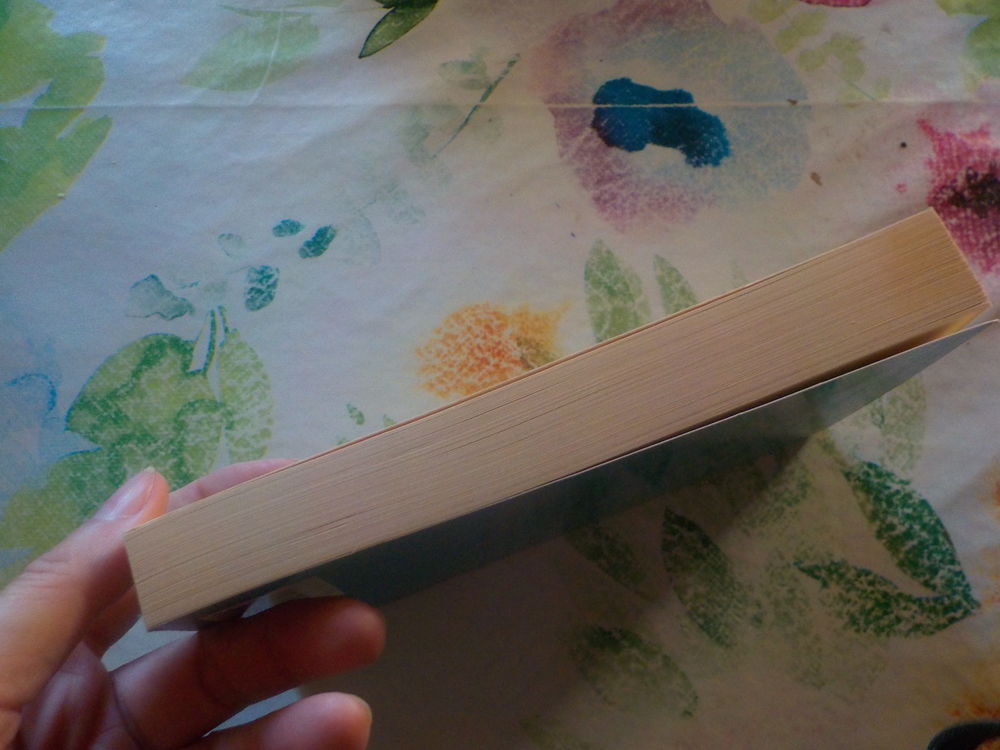 MADAME BOVARY de Gustave FLAUBERT Ed. EDDL Livres et BD