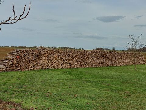 bois de chauffage 45 Genevrires (52)
