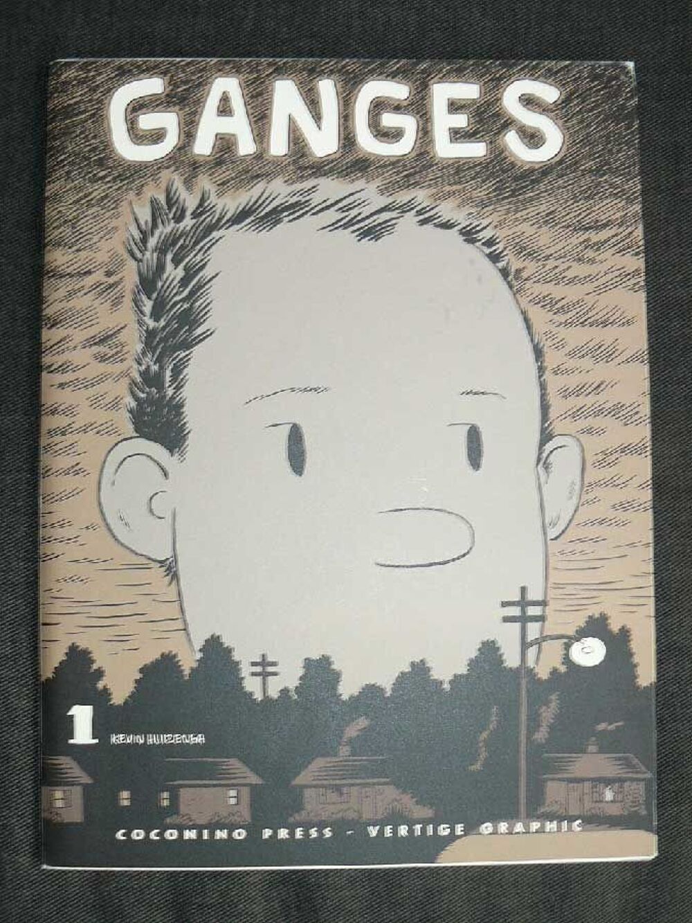 Kevin Huizenga Ganges 1 EO Livres et BD
