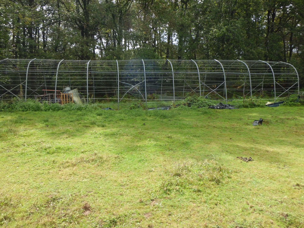 long tunnel de stockage ou maraichage structure en acier Jardin
