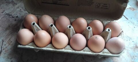 OEUFS 2 33240 Prissac