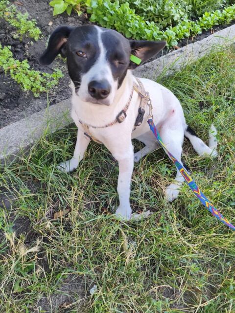 MOTTYA 0 75018 Paris