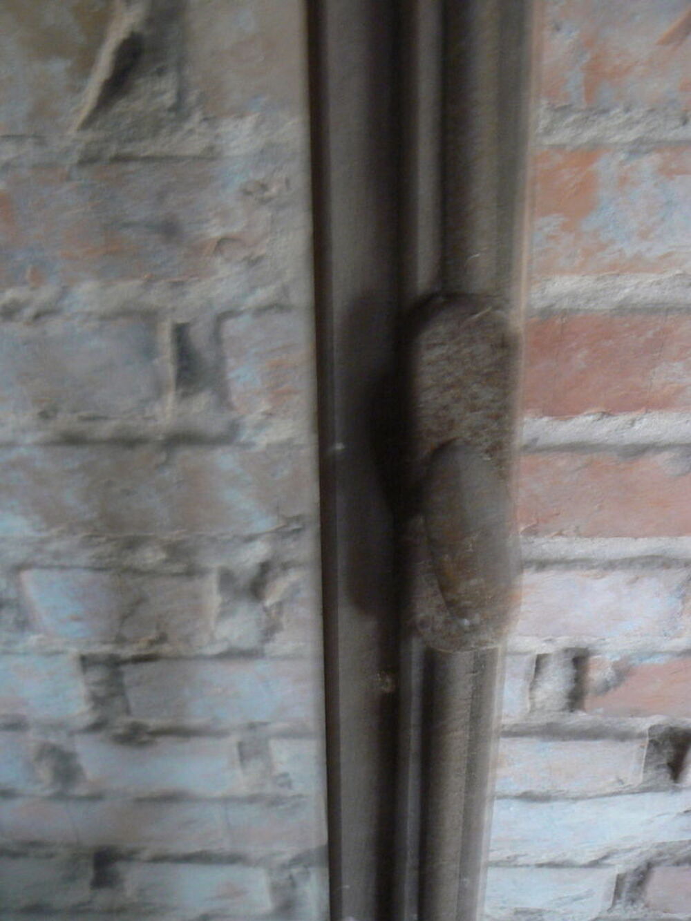 Fen&ecirc;tre tr&egrave;s ancienne 1 vantail sans cadre Bricolage