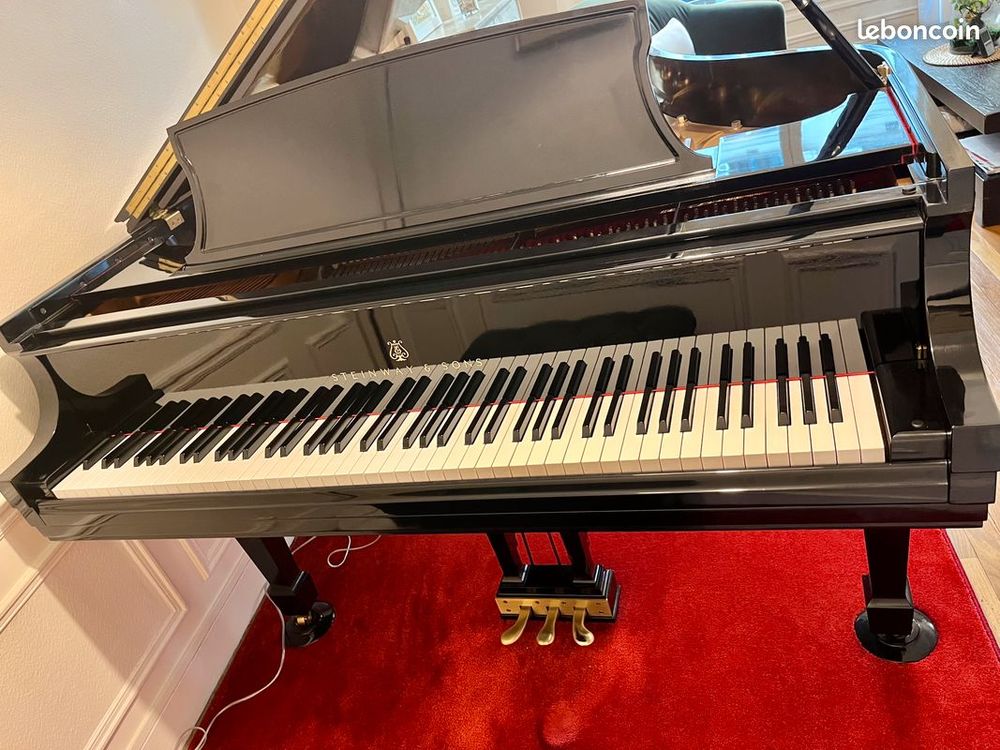 Piano &agrave; queue Steinway
Instruments de musique