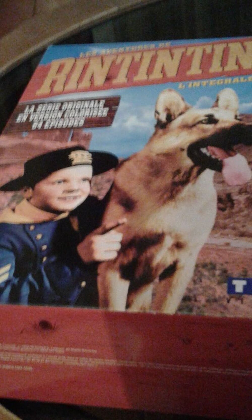Les aventures de rintintin l int&eacute;grale dvdu DVD et blu-ray