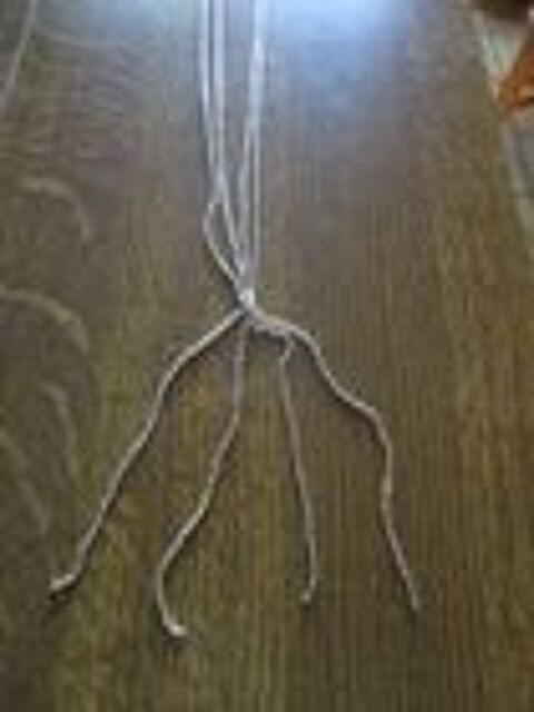 Cha�ne 3 longueurs en une 0 M�rignies (59)