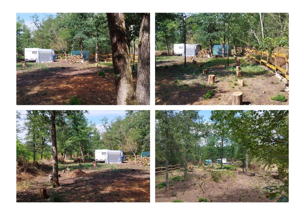 Vente Terrain Terrain de Loisir Forestier ( Taillis ) Farges-allichamps