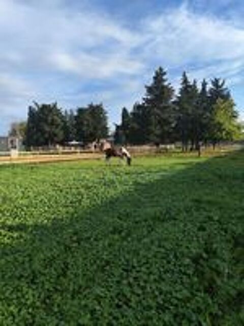   Pension equipistes sur Lapalud 