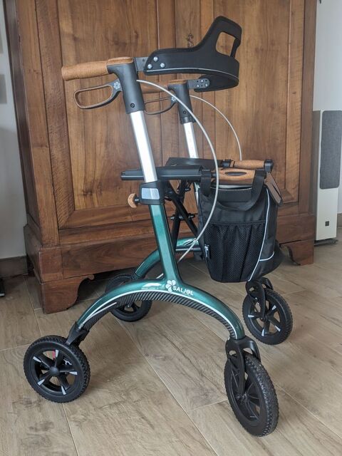 D�ambulateur carbone Saljol (couleur Vert Anglais) 465 Saint-Andr�-de-Roquelongue (11)