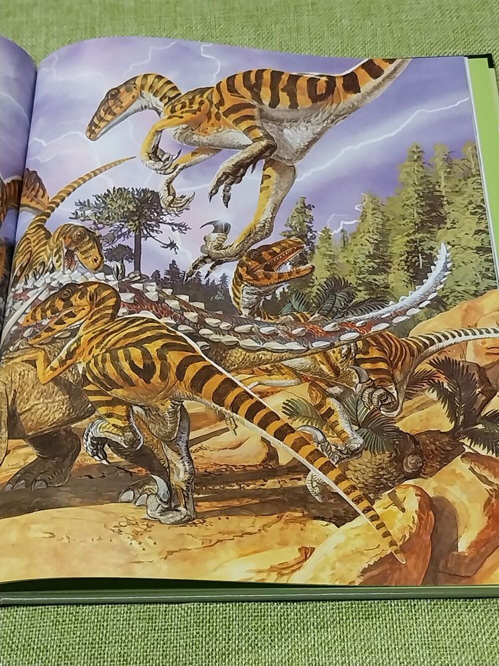 Dinosaures livre l'univers fascinant des animaux Christopher Livres et BD