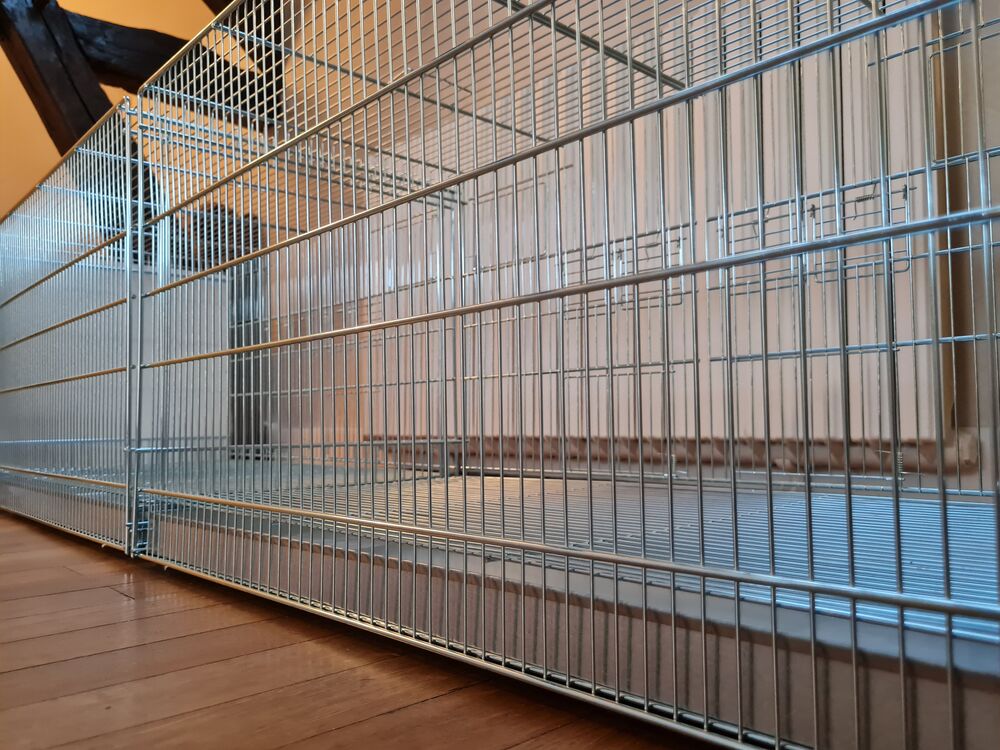   Cages d'élevage galvanisées + millet en grappe  