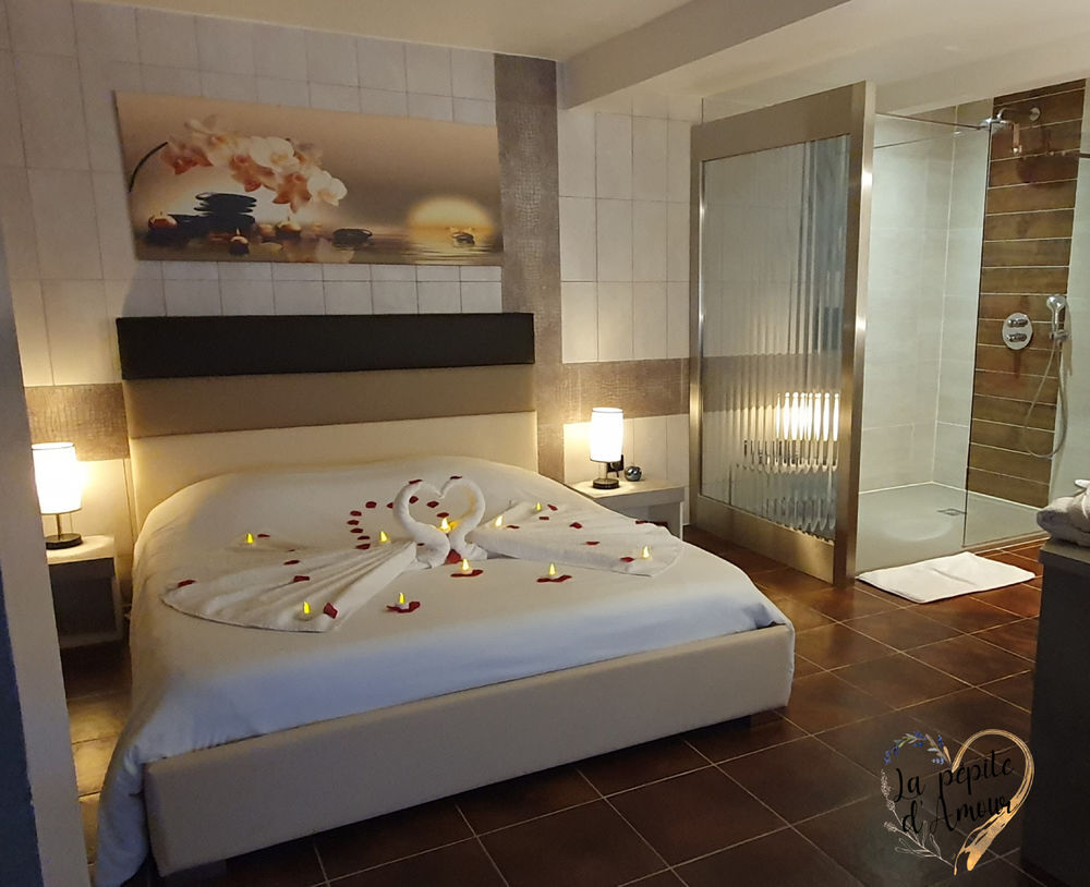   Villa au calme avec spa privatif, sauna, piscine privée Provence-Alpes-Côte d'Azur, Sainte-Anastasie-sur-Issole (83136)