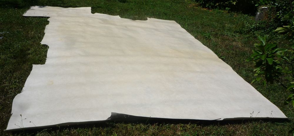 Linoleum Beige marbr&eacute; de surface 7.87 m2 Bricolage