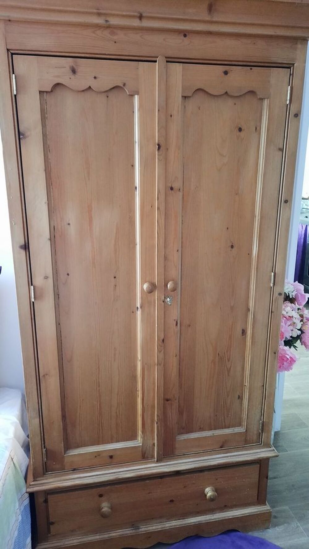 Achetez armoire en pin occasion, annonce vente à Eysines (33) WB171545860