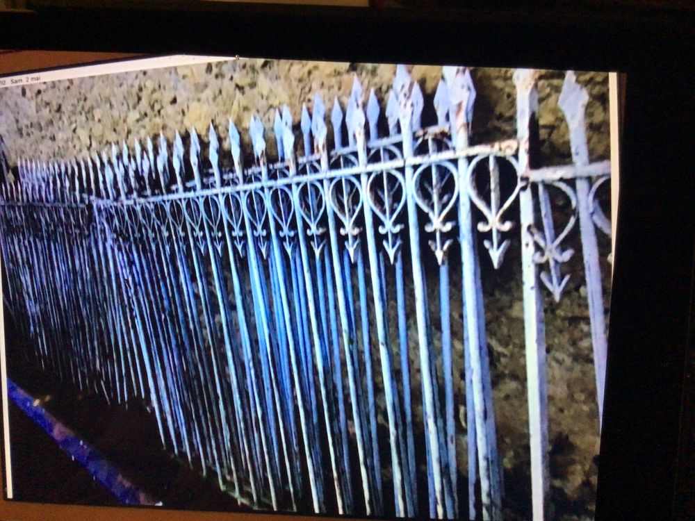 9 grilles anciennes ch&acirc;teau / 15 m lin&eacute;aire environ Décoration