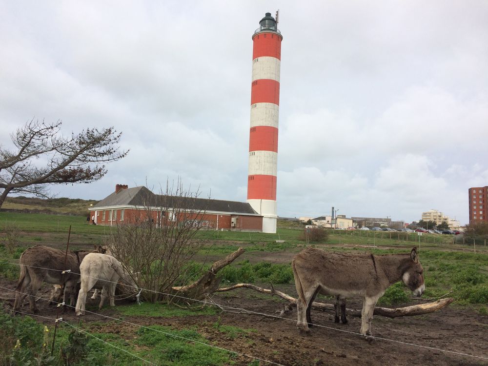   T2 à Berck sur mer tout confort wifi, parking, marché, centr Nord-Pas-de-Calais, Berck (62600)