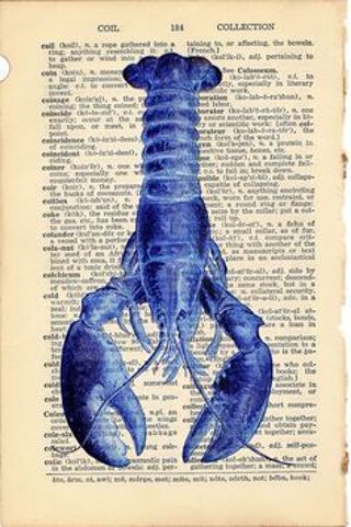 Location  Maison - Villa 