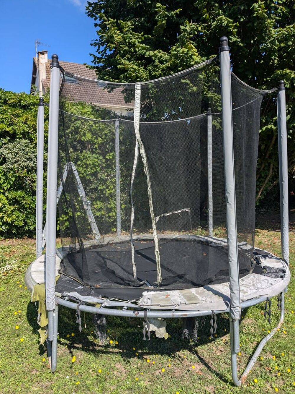 Trampoline Domyos essential 240 Jeux / jouets