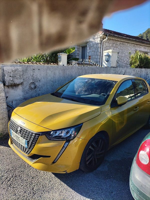 Peugeot 208 PureTech 100 S&S BVM6 Active