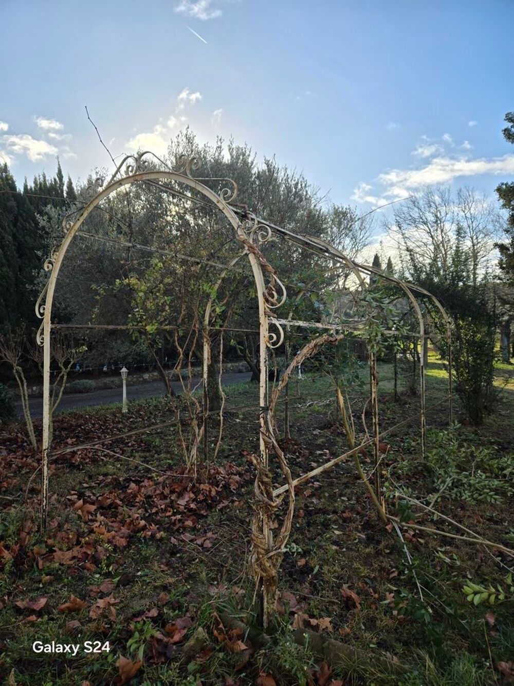 tonnelle en fer forg&eacute; Jardin