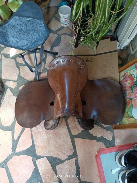 selle cheval 100 Montceaux-ls-Provins (77)