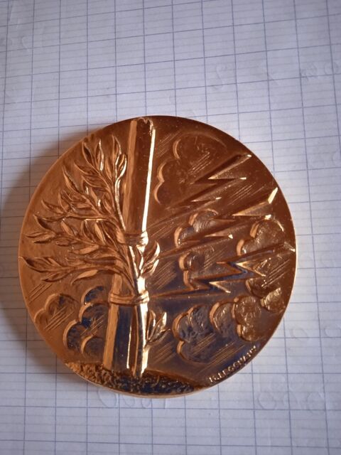 m�daille bronze 25 Huisseau-en-Beauce (41)