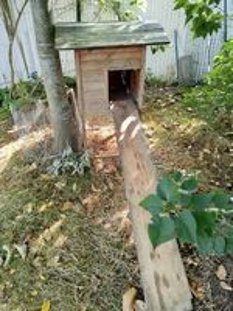   Abri / pondoir pour poule surélevé.ou niche pour chien/chat. 