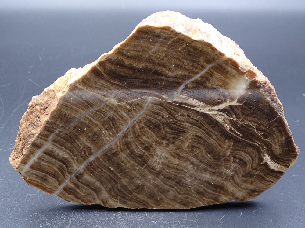 Jaspe ruban&eacute; (poli) Fox-Amphoux , Var , France 337gr 152 x 1 