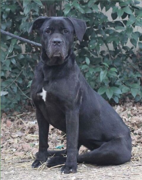 Prada 230 26700 Pierrelatte