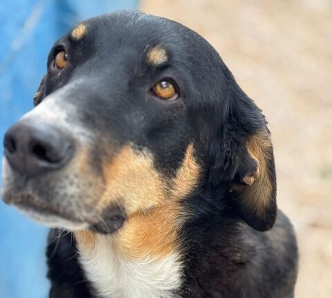 MILA 320 27620 Gasny