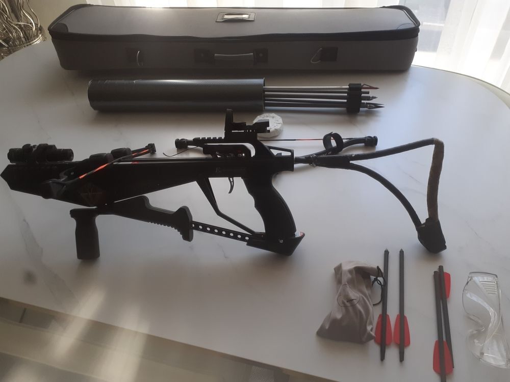 arbal&egrave;te cobra r9 ,2 syst&egrave;mes de vis&eacute;e ,r&eacute;ticule et laser , fl&egrave;ches et sacoche , 2 arcs Sports
