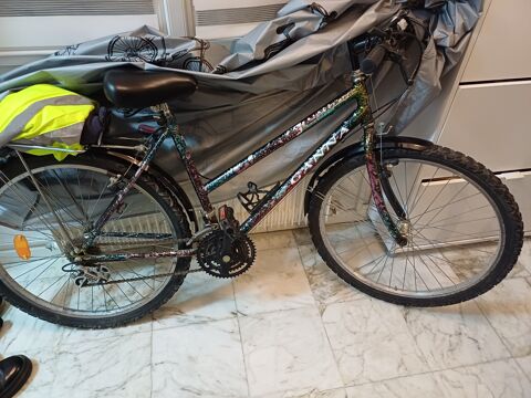 Vlo VTT mixte 60 Reims (51)