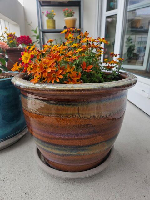 GROS POTS pour véranda jardin balcon 20 Saintes (17)