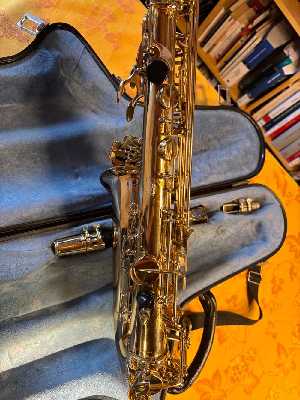 SELMER Paris Saxophone Super Action 80 S&eacute;rie II Alto . Instruments de musique