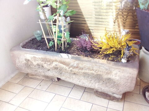 Auge en pierre 170 Belfort (90)