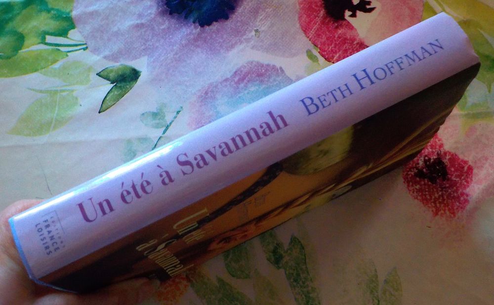 UN ETE A SAVANNAH de Beth HOFFMAN Ed. France Loisirs Livres et BD