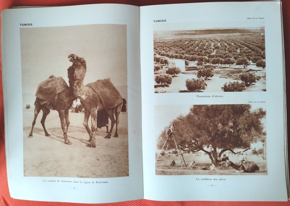 les colonies fran&ccedil;aises 340 photos 1931
Livres et BD