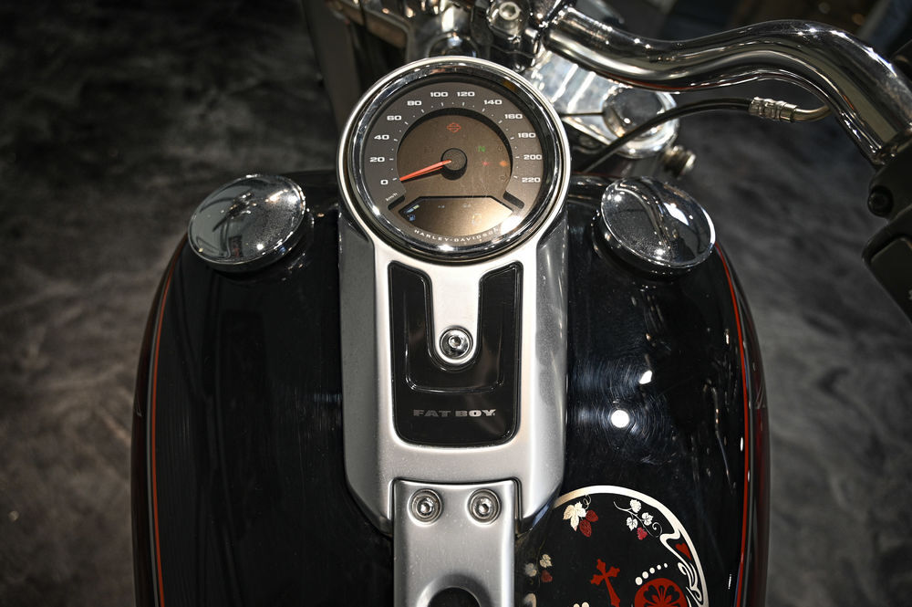 HARLEY-DAVIDSON 2020 occasion 60280 Clairoix